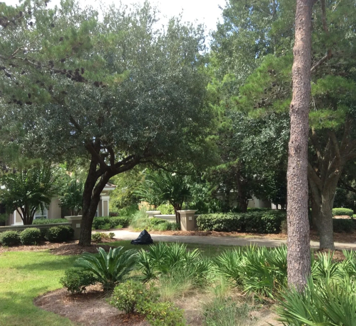 lawn-care lawn-care
