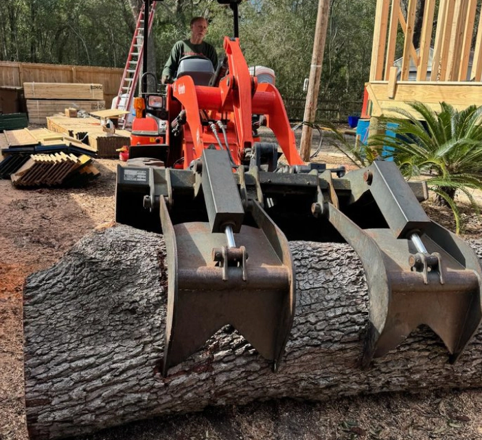tree-trunk-removal tree-trunk-removal