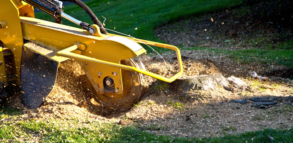 Stump-services Stump-services