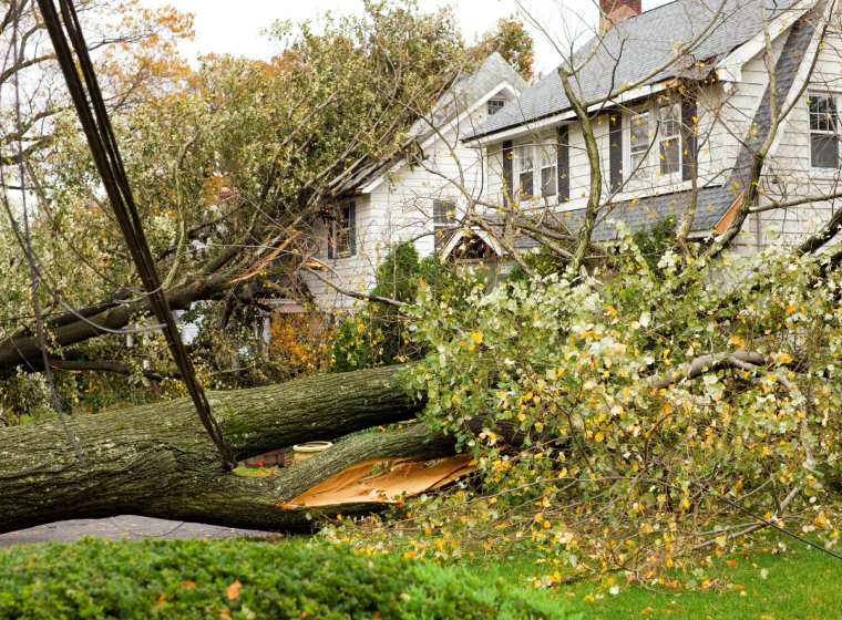 emergency-cleanup emergency-cleanup