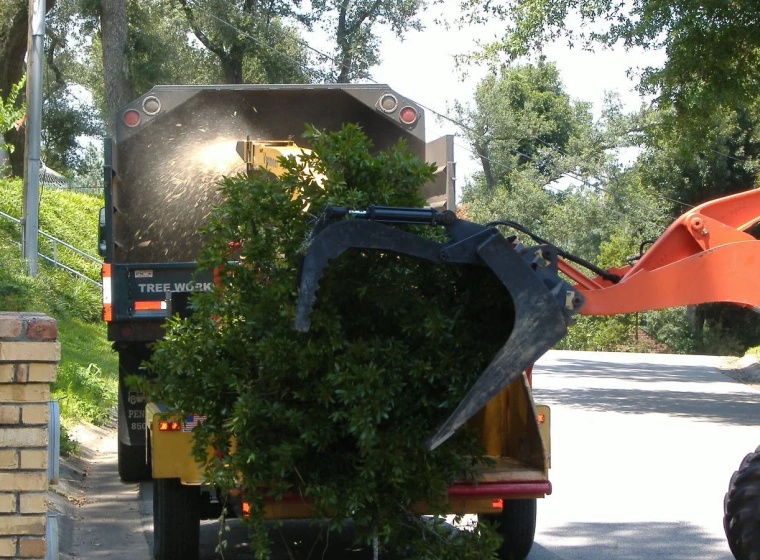 shrubbery-extraction shrubbery-extraction